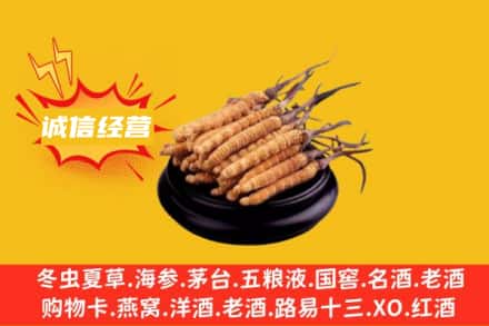 萨迦县回收冬虫夏草